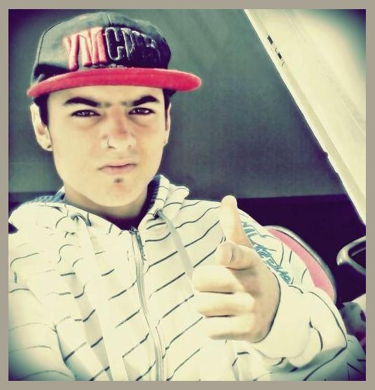 Mc Will